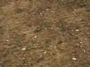 motorcross jump