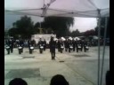 panteras cbtis119 calderon 2008