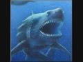 16 cryptid tournament