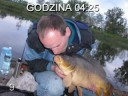 Fajne karpie kolegi Grzesia