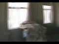 Buchan Hotel‎ Vancouver BC Canada