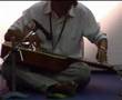 Mohan Veena