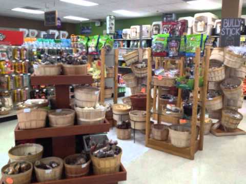Pet Store,pet stores near me,pet store near me,pet supply stores,exotic pet store