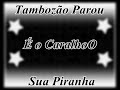 tambozao parou e o caralho sua piranha