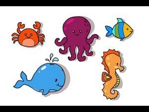 how to draw aquatic animals