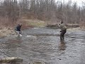 Steelhead Fly Fishing