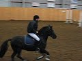 Hoppning L:D