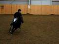 Hoppning L:D