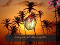 أتحبني ؟ حصريا من القلب الكبير