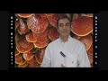 RED GANO EXCEL COLOMBIA - TESTIMONIO MEDICO