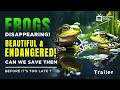 Before It's Too Late - Croaking Frogs sample