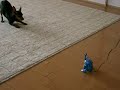 るん、犬になる！？～その２～