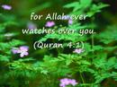 women In Islam women In Islam