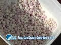 A pesca de lambaris no Capivari Cachoeira - Programa pescadinamica.com.br - parte 2