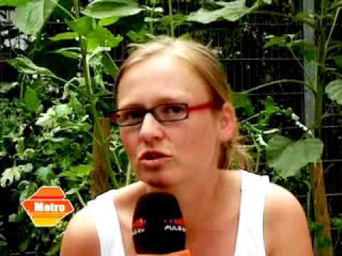 Guerilla Gardening