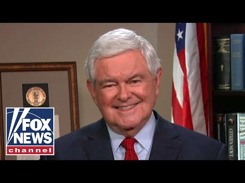 Gingrich: Pelosi's border remarks a great gift to the GOP