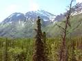 Chugach Mountains Panorama: Eagle River Vally