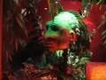 videos de Ripley's Believe it or Not! Museum- San Antonio, Texas