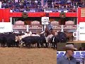2007 NCHA Futurity Open