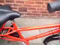 Electric Trike