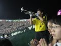 one of the trumpeteers at the hanshin tigers game