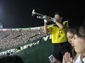 one of the trumpeteers at the hanshin tigers game