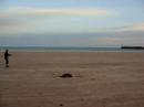 videos voile