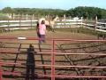 videos de JH Frosted Wrangler- 2009 2 yr old