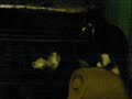 REGLISSE ET LES POISSONS REGLISSE ET LES POISSONS