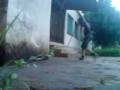 videos de tosi toni