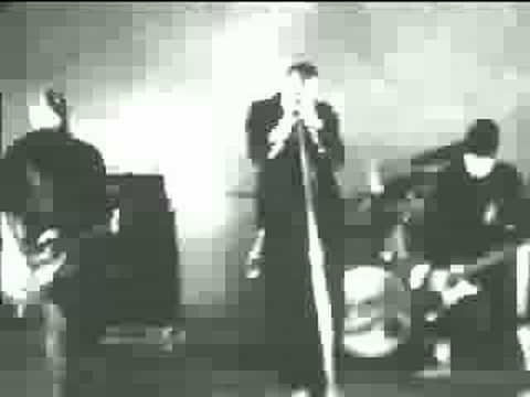 Snot - Stoopid