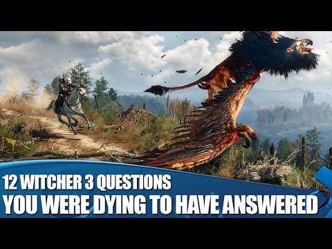 access - The Witcher 3: Wild Hunt has almost arrived for PS4, and we've taken YOUR questions to developer CD Project RED. Here's what they had to say about the beautiful RPG... PlayStation Access TV...