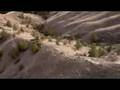 Paillaco Steve Romaniuk Mongoose