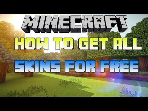 how to get minecraft skins