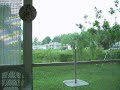 turtles-on-lanai.html