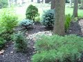 A Walk Through My Dad\ A Walk Through My Dad\