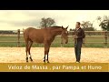 Veloz de Massa