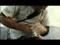 Am-Limit-Trailer