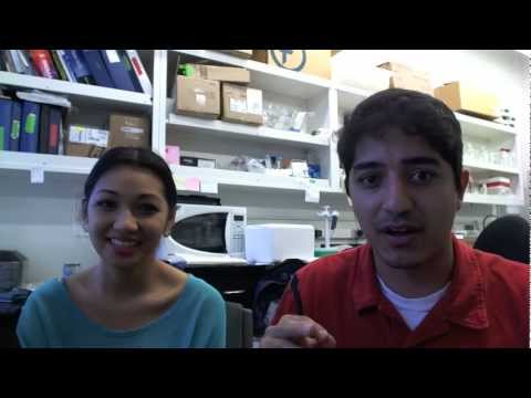 how to practice for the mcat