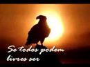 falando ao coração 7 falando ao coração 7