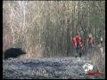 Ver vídeo