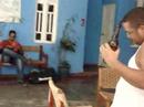 GUSS tararea a VEEP