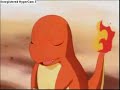 Charmander Evolves