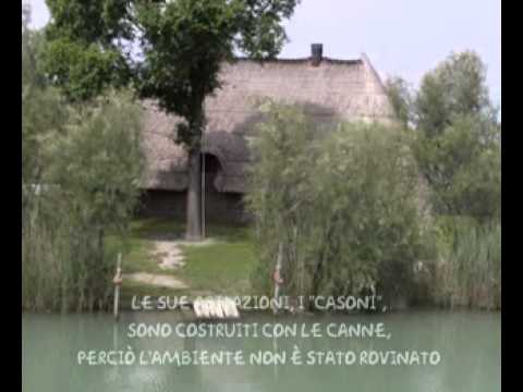 Alla scoperta dell'oasi naturalistica di Vallevecchia