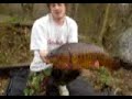 15lb Fully Scaled Mirror Carp 15lb Fully Scaled Mirror Carp