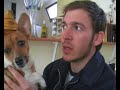 www.gregoiry.com 
d�couvrez didier, raide dingue de son toutou..