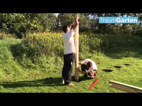 Shavidpranks Shavidpranks