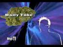 Daily Toke on The Monthly Wrap Daily Toke on The Monthly Wrap