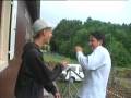 videos de wätschle fünse und matter.mpg
