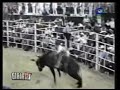 20 destructores en la monumental de morelia